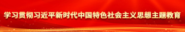 操逼被你操学习贯彻习近平新时代中国特色社会主义思想主题教育